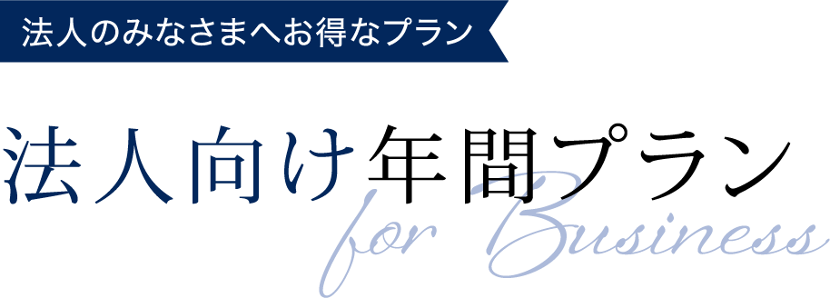 法人向け年間プラン