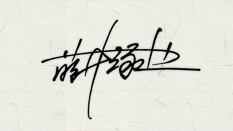 お名前をお洒落なサインに 手書きサイン 自筆署名創作専門会社 署名ドットコム